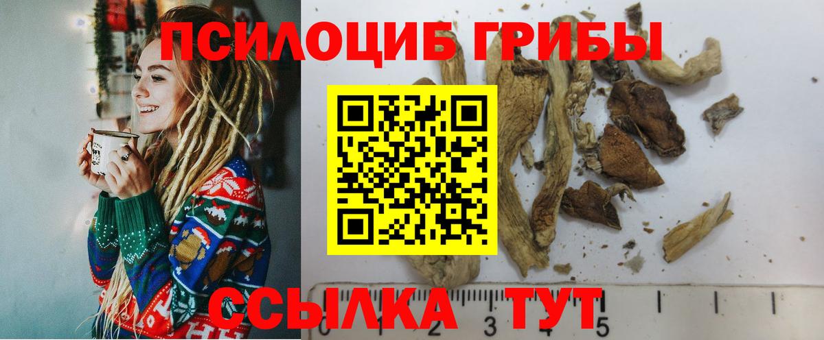Псилоцибиновые грибы прущие грибы Минусинск